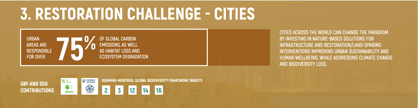 UN Decade Cities Challenge Badge