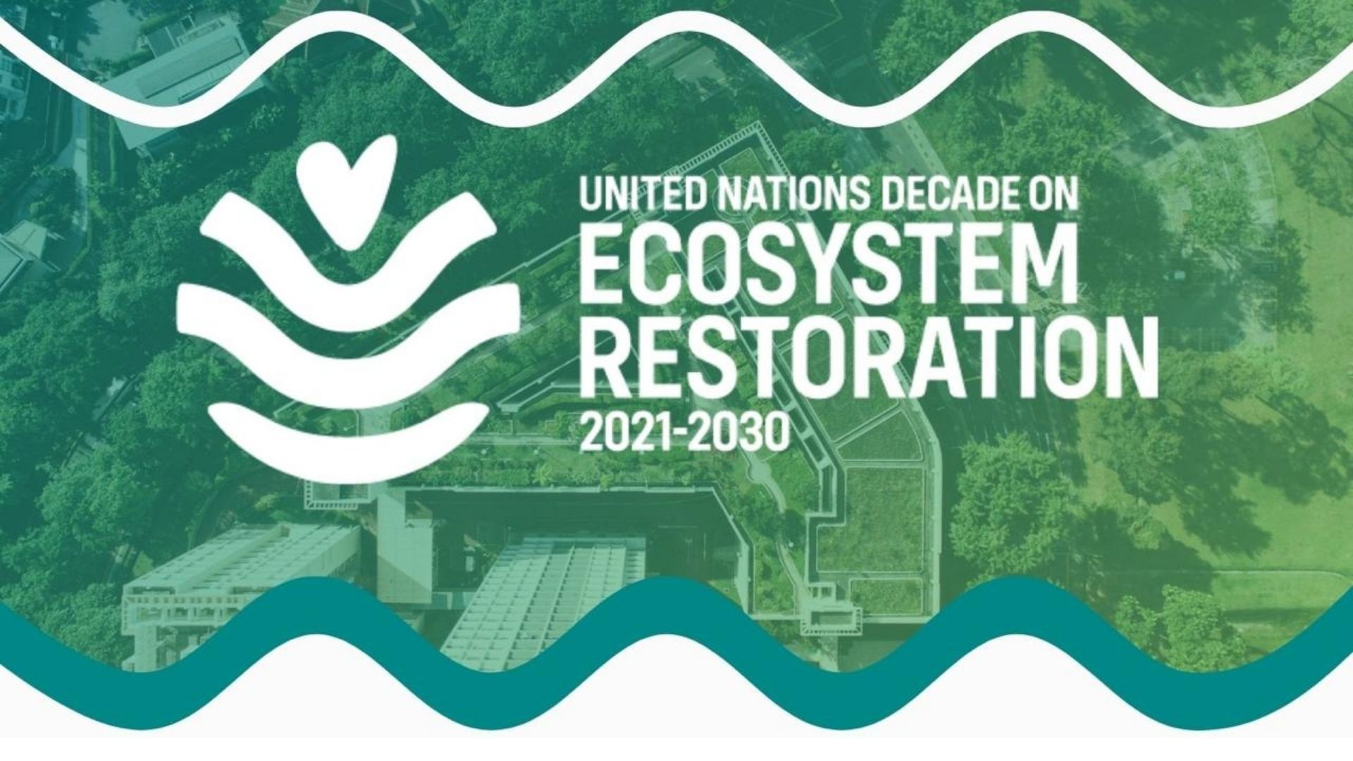 UN Decade on Ecosystem Restoration